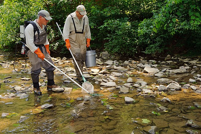 This image shows EPA employees conducting a biological stream assessment.