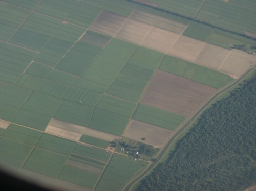 This image shows the aerial view of agriculture in Ascension Parish, Louisiana.