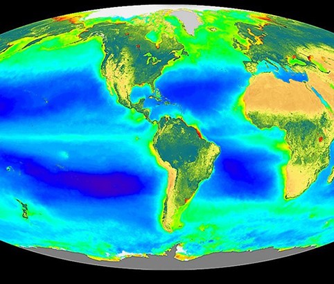 Map of the world colored by the levels of chlorophyll 