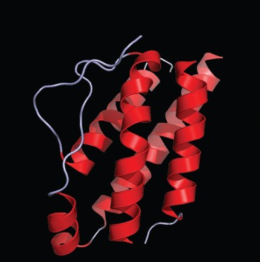 Molecular structure in the form of interleukin-2 protein